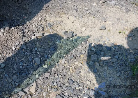 2020 Ford Econoline z USA, uszkodzony, nr VIN NM0LS7E2XL1442841